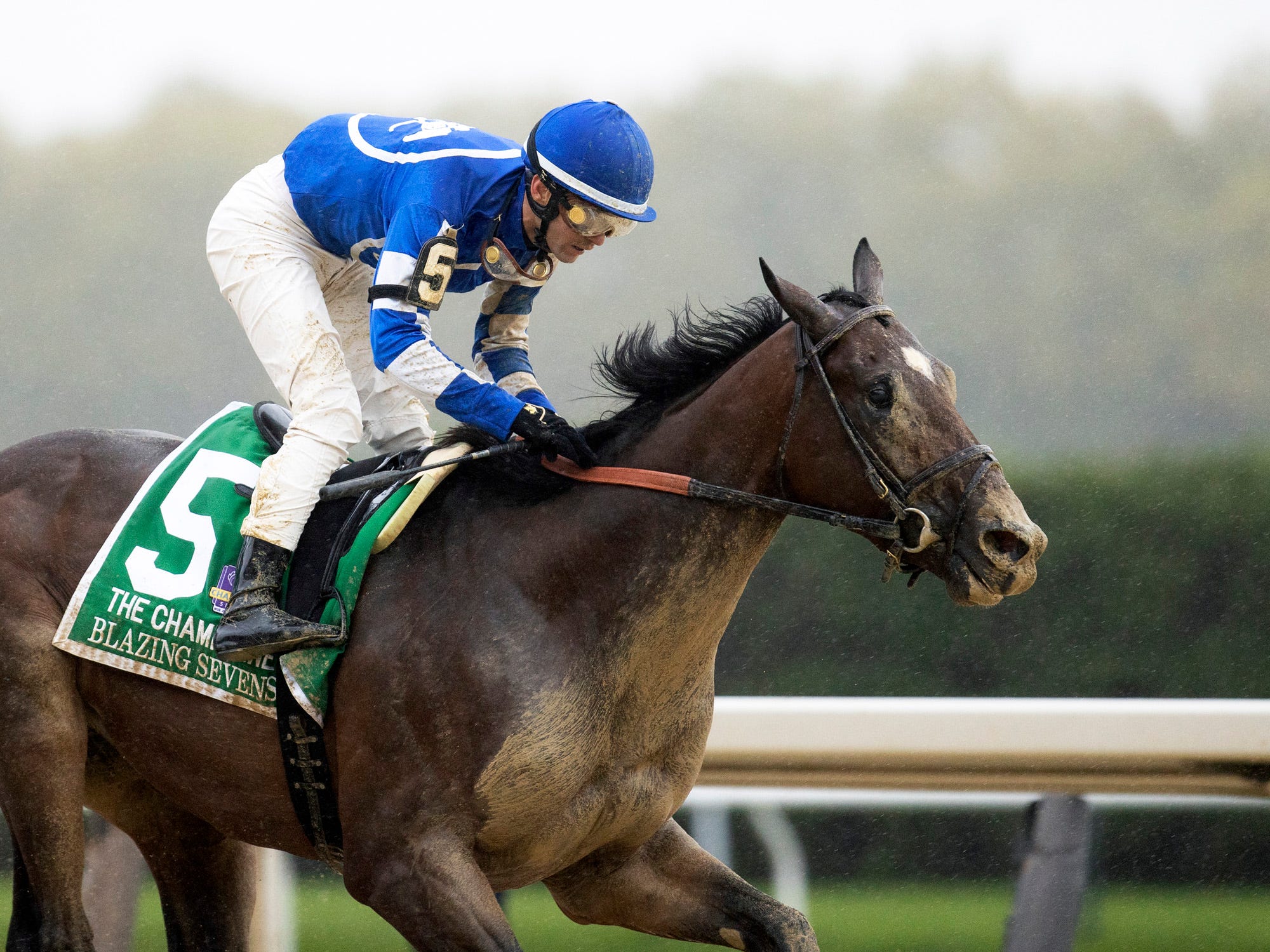 2023 Kentucky Derby pedigree profile Blazing Sevens